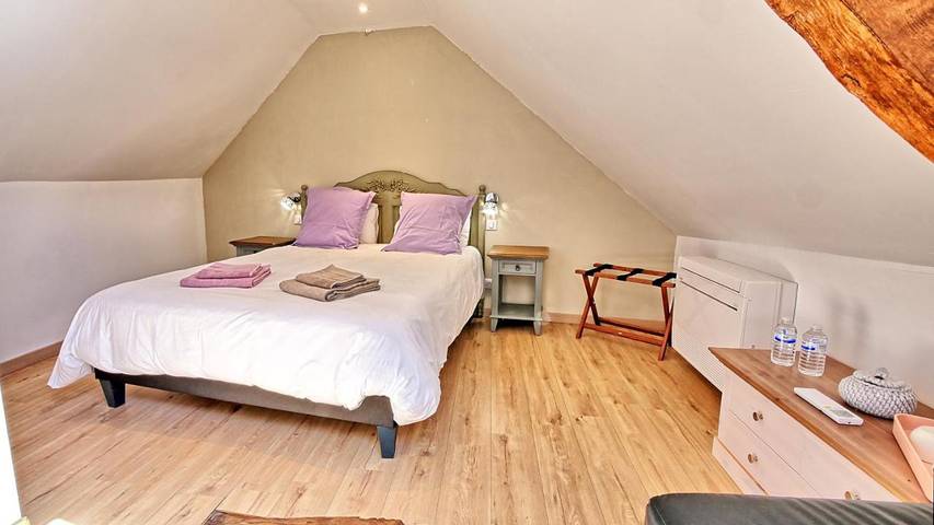 Chambre d’hôte pour 2 personnes, avec terrasse et vue ainsi que piscine et jardin dans Loiret - 3