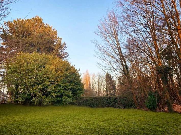 Location de vacances pour 18 personnes, avec piscine et jacuzzi ainsi que sauna et jardin dans la Région d'Audenarde - 4