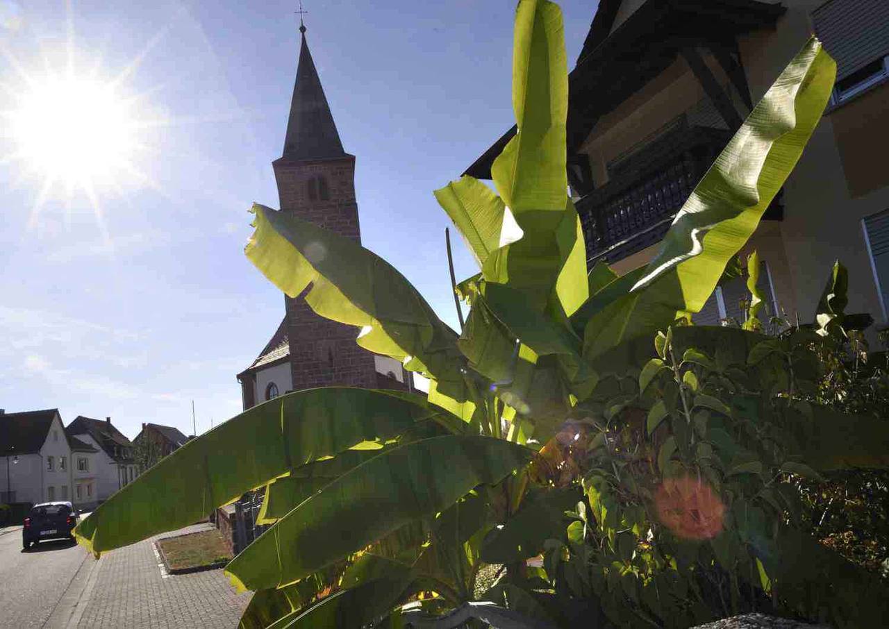 Ganze Ferienwohnung, Ferienwohnung Vier Sterne mitten im Biosphärenreservat Pfälzerwald/Nordvogesen  in Fischbach bei Dahn, Pfalz