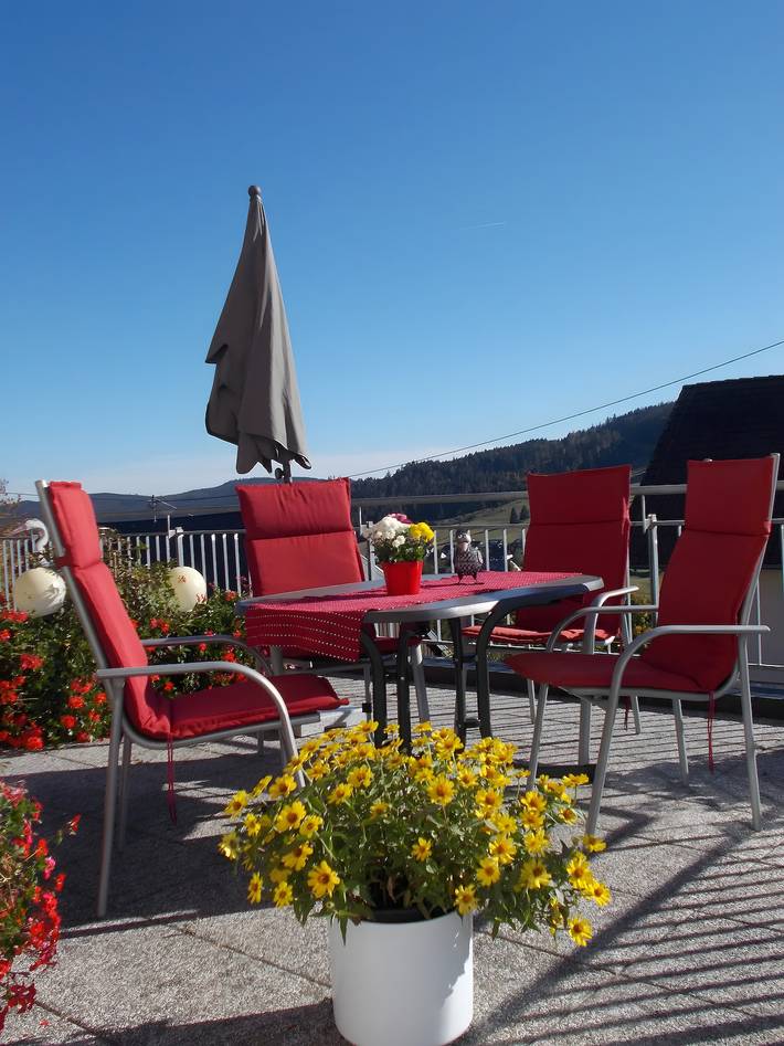 Ferienwohnung für 2 Personen, mit Sauna und Garten in Baden-Württemberg - 3