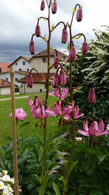 Ferienwohnung für 5 Personen in Jura & Drei-Seen-Land, Kanton Jura, Bild 4