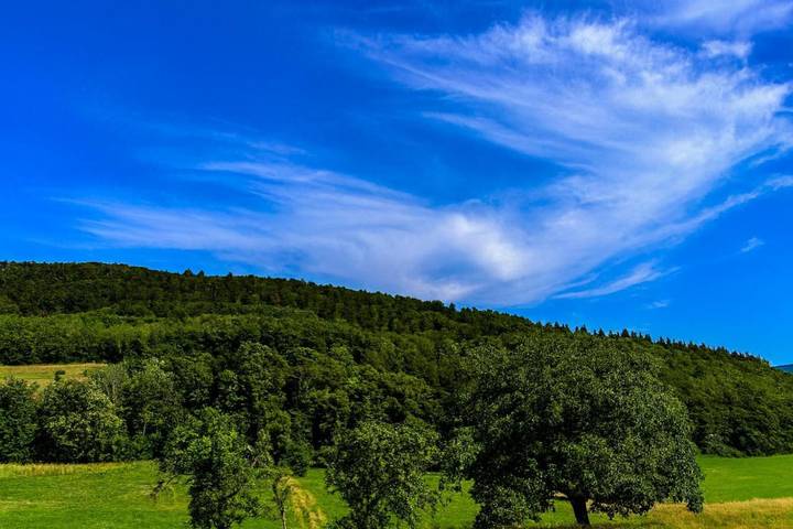 Location de vacances pour 6 personnes, avec terrasse ainsi que jardin et vue à Masevaux - 2