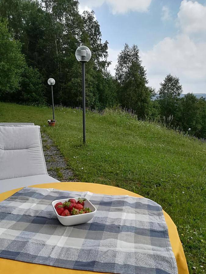 Ferienwohnung für 10 Personen, mit Terrasse und Garten sowie Ausblick in Schulenberg im Oberharz - 4