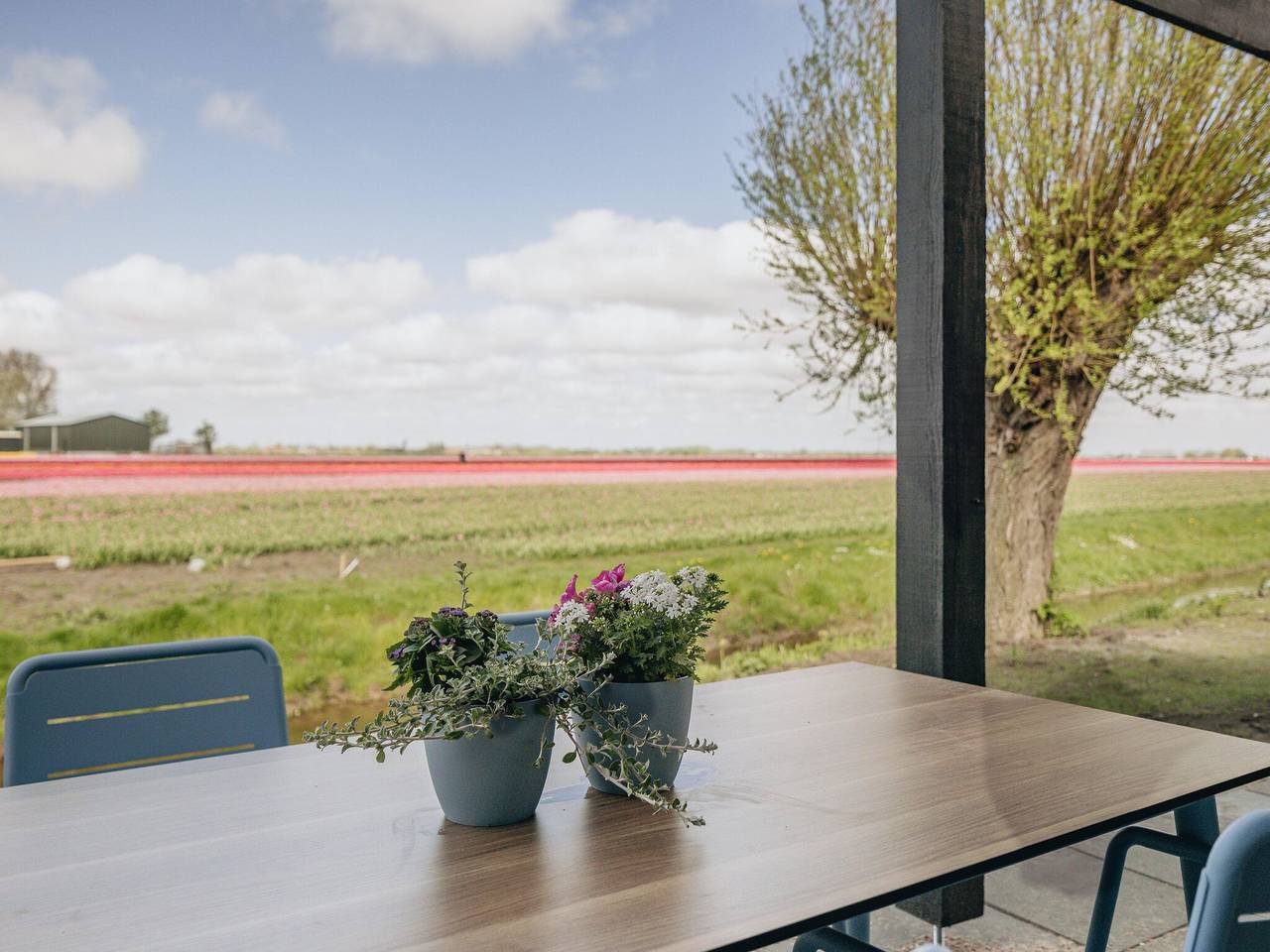 Lodge am Markermeer nahe Hoorn in Wijdenes, Markermeer