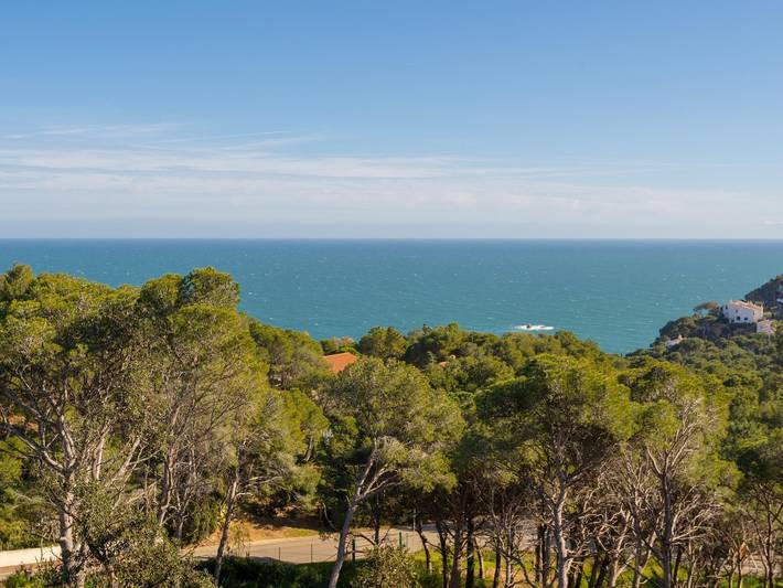Casa de huéspedes para 6 personas, con jardín y terraza en Palafrugell - 4