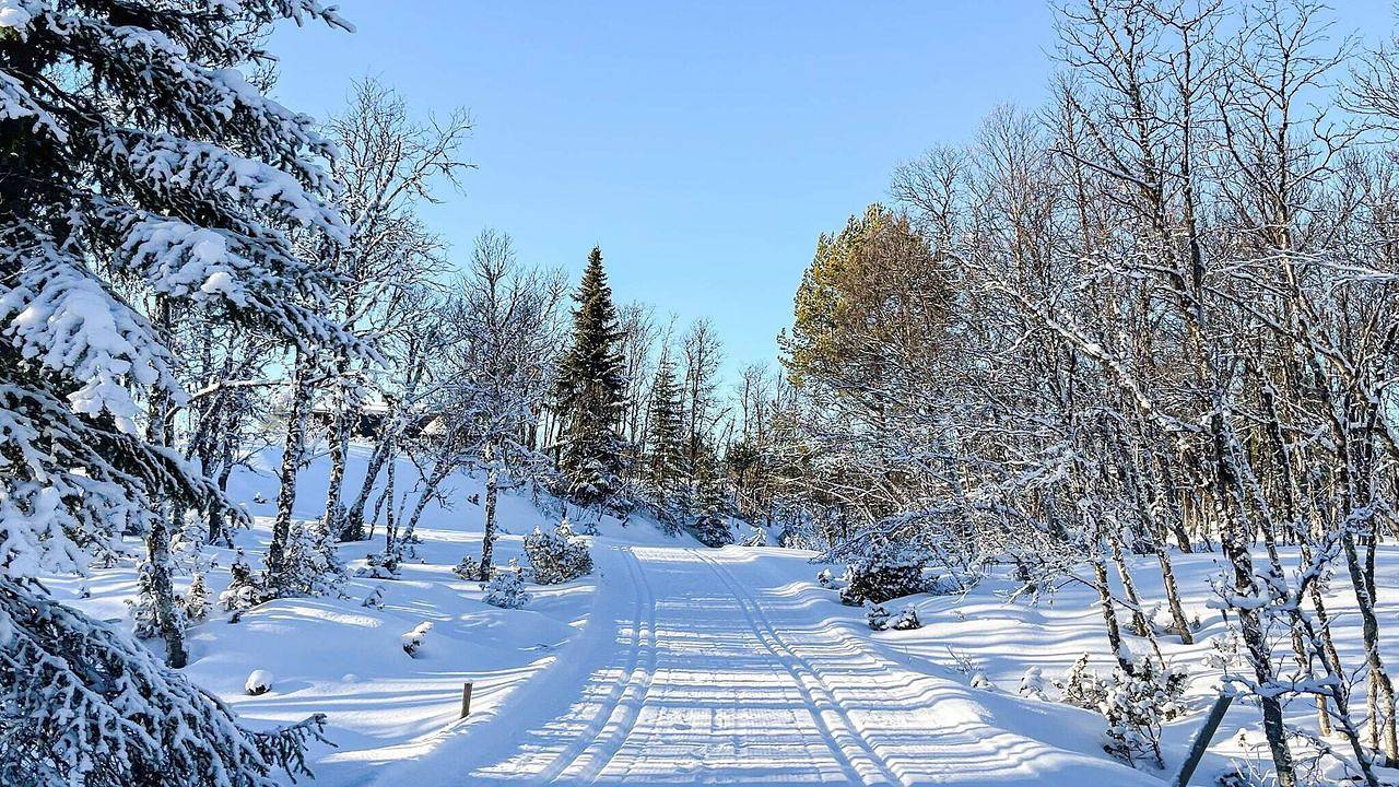 Ferienhaus für 4 Personen (45 m²) in Gol in Gol (desambiguación)
