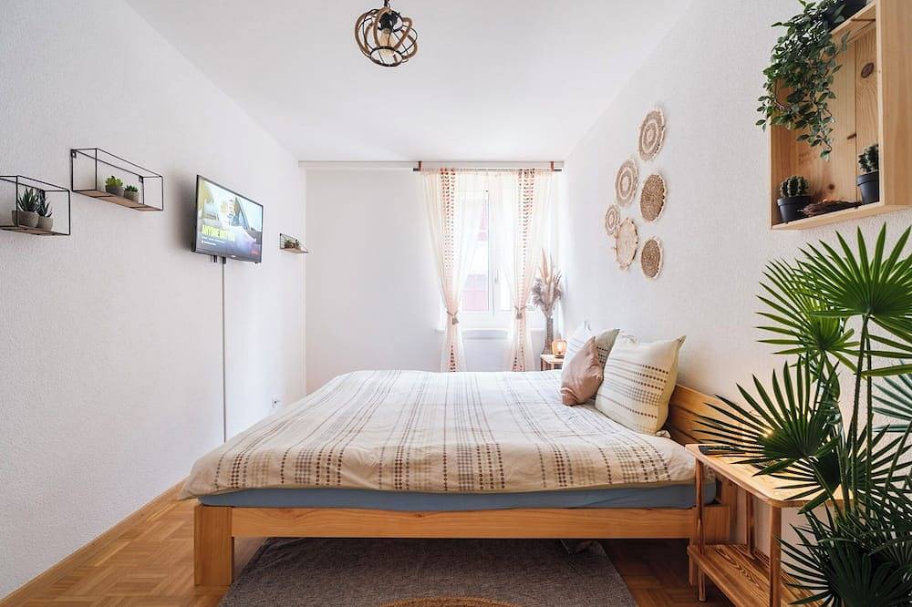 Entire apartment, City central comfort in Lausanne, Lake Geneva
