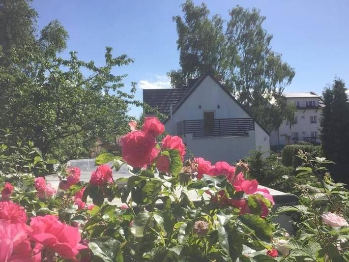 Ferienwohnung für 2 Personen, mit Garten, mit Haustier in Halbinsel Hel - 4
