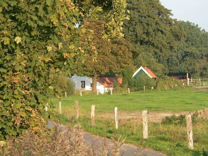 Ferienhaus für 4 Personen, mit Terrasse und Garten in Großheide