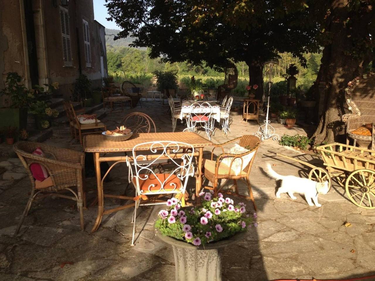 Pension 'Junior' mit Bergblick, Gemeinschaftspool und Wi-Fi in Brignoles, Brignoles Region
