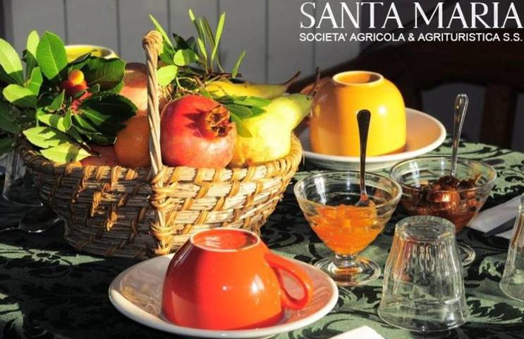Agriturismo per 3 persone, con panorama e terrazza, con animali domestici in San Venanzo