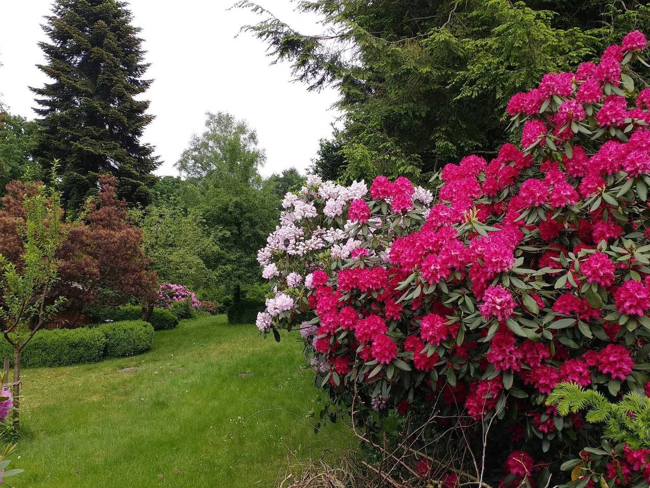 Ganze Ferienwohnung, Ferienwohnung Gartenblick in Worpswede, Niedersachsen