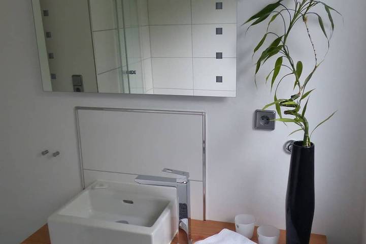Ganze Wohnung, Helle, moderne Ferienwohnung mit Charme in Dahn in Dahn, Landkreis Südwestpfalz