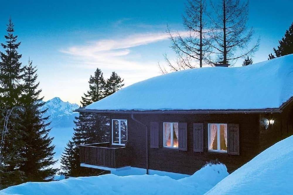 Ganze Wohnung, Ferienchalet Rigirolle, 1. Etage mit Balkon in Vitznau, Vierwaldstättersee