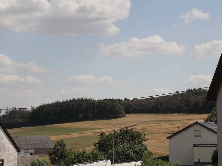 Ferienhaus für 10 Personen, mit Sauna und Terrasse in der Eifel - 3