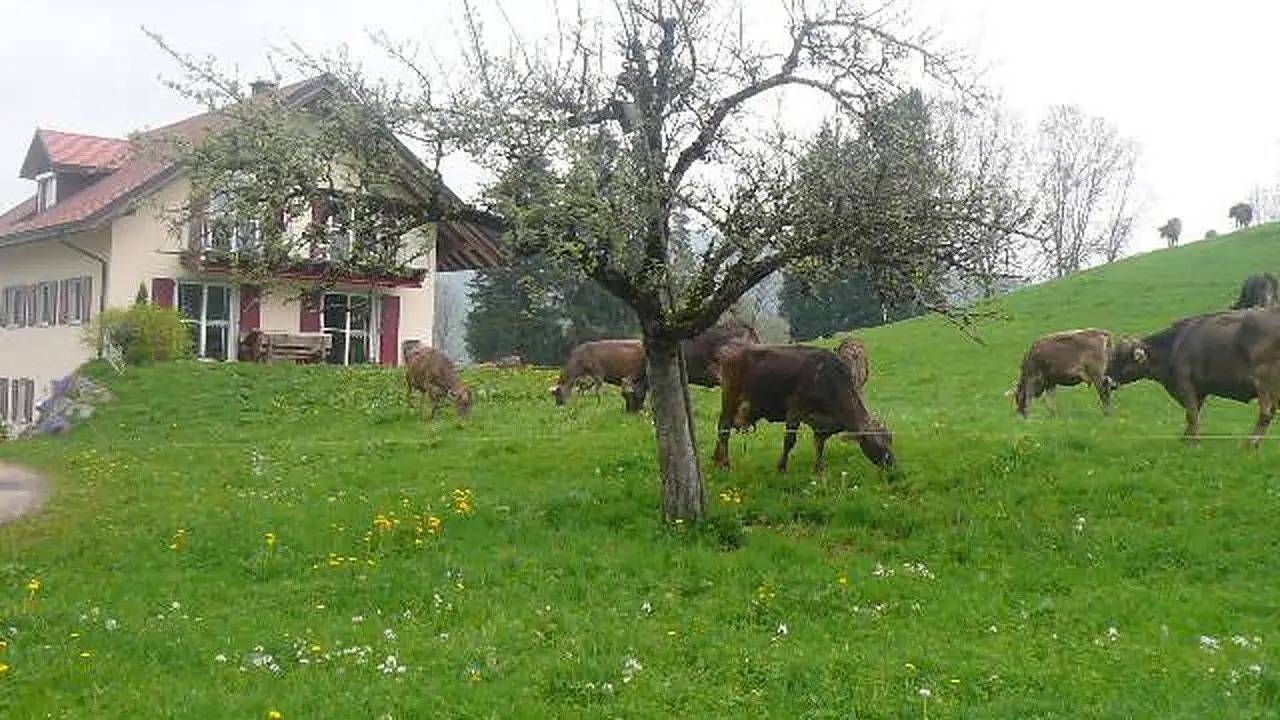 Ganze Ferienwohnung, Ferienwohnung für 2 Personen (35 m²) in Isny im Allgäu in Isny im Allgäu, Region Bodensee-Oberschwaben