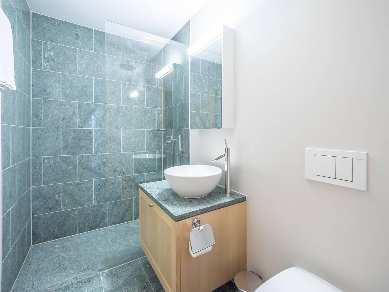 Ganze Wohnung, Casa Surpunt A1 in Flims-Dorf, Flims