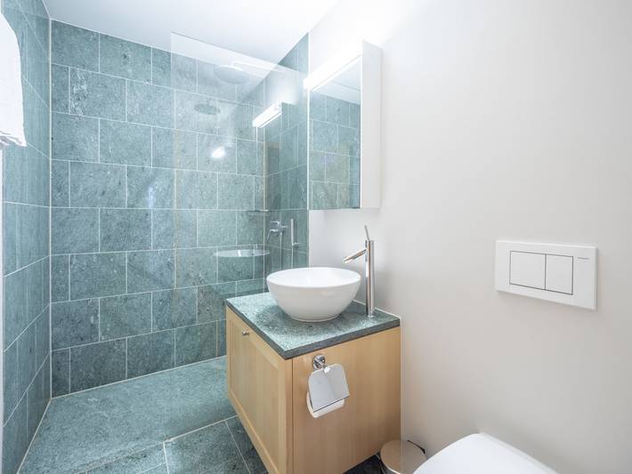Ganze Wohnung, Surpunt in Flims-Dorf, Flims