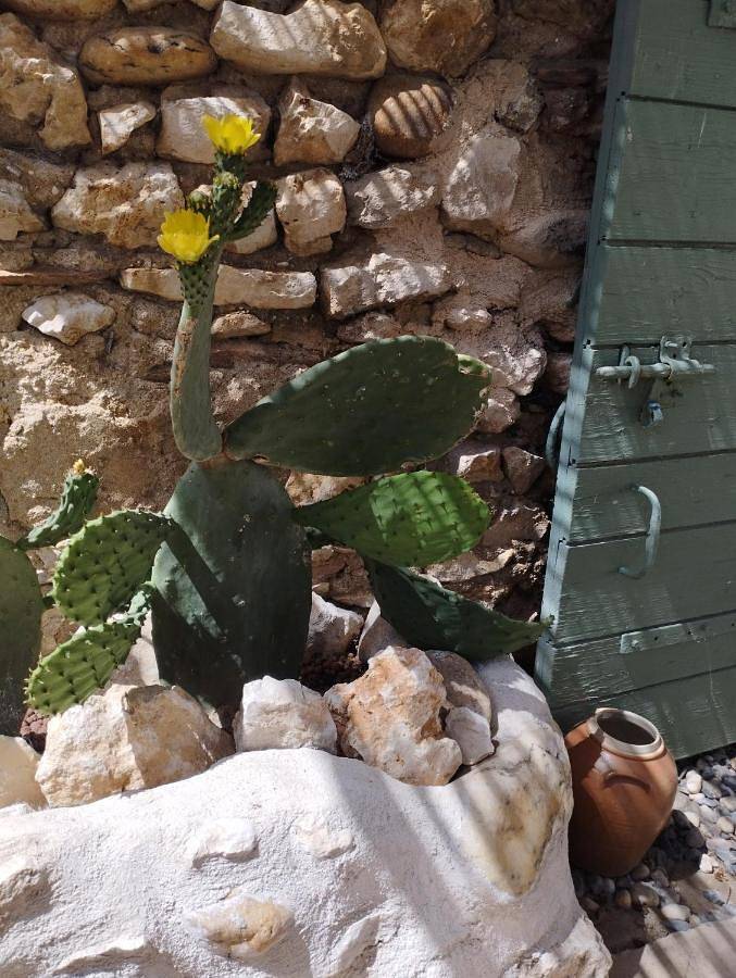 Double Room in Dions, Région de Nîmes
