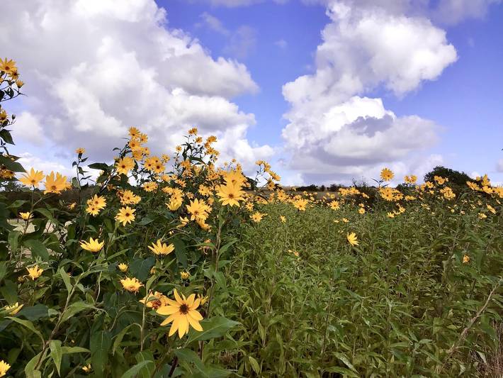 Ferienwohnung für 2 Personen, mit Garten und Terrasse im Saarland - 2