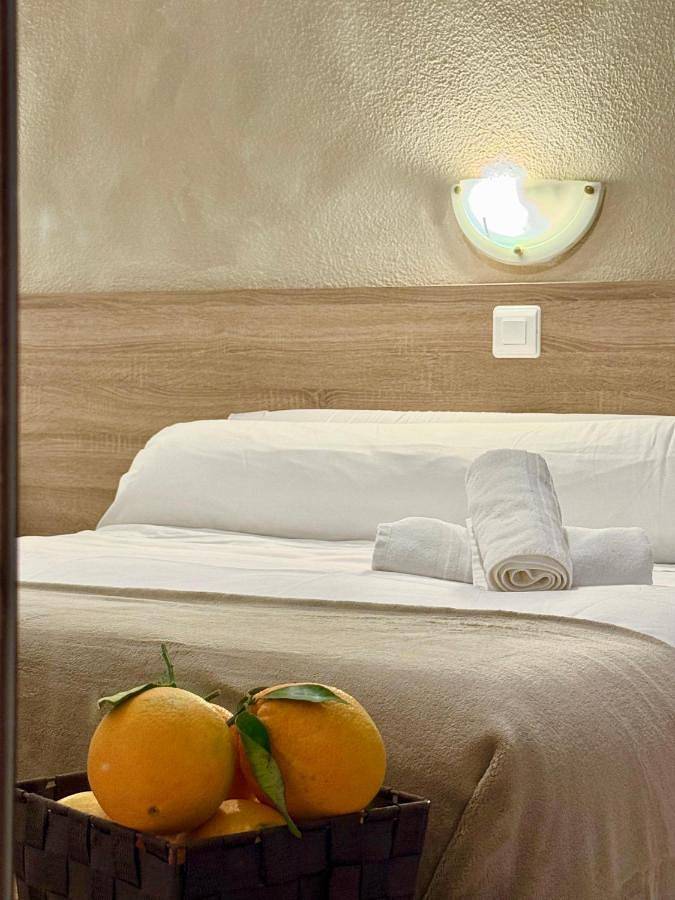 Maison d’hôte pour 2 personnes, avec terrasse, animaux acceptés à Elche