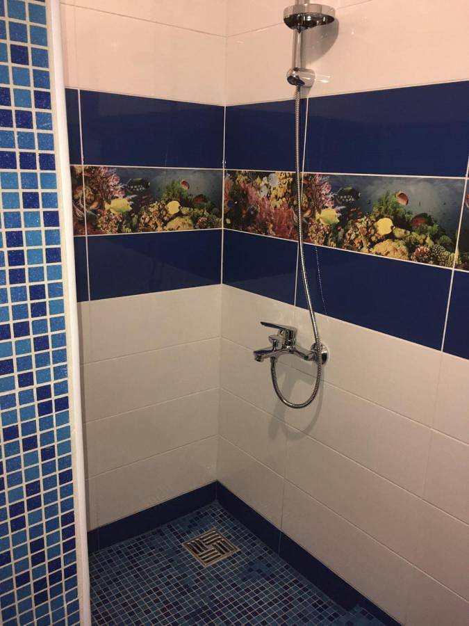 Maison d’hôte pour 6 personnes, animaux acceptés à Odessa - 4