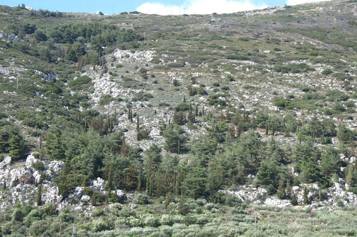 Appartement entier, Unique Apartment'Konaki' in Région d'Iraklio-Héraklion