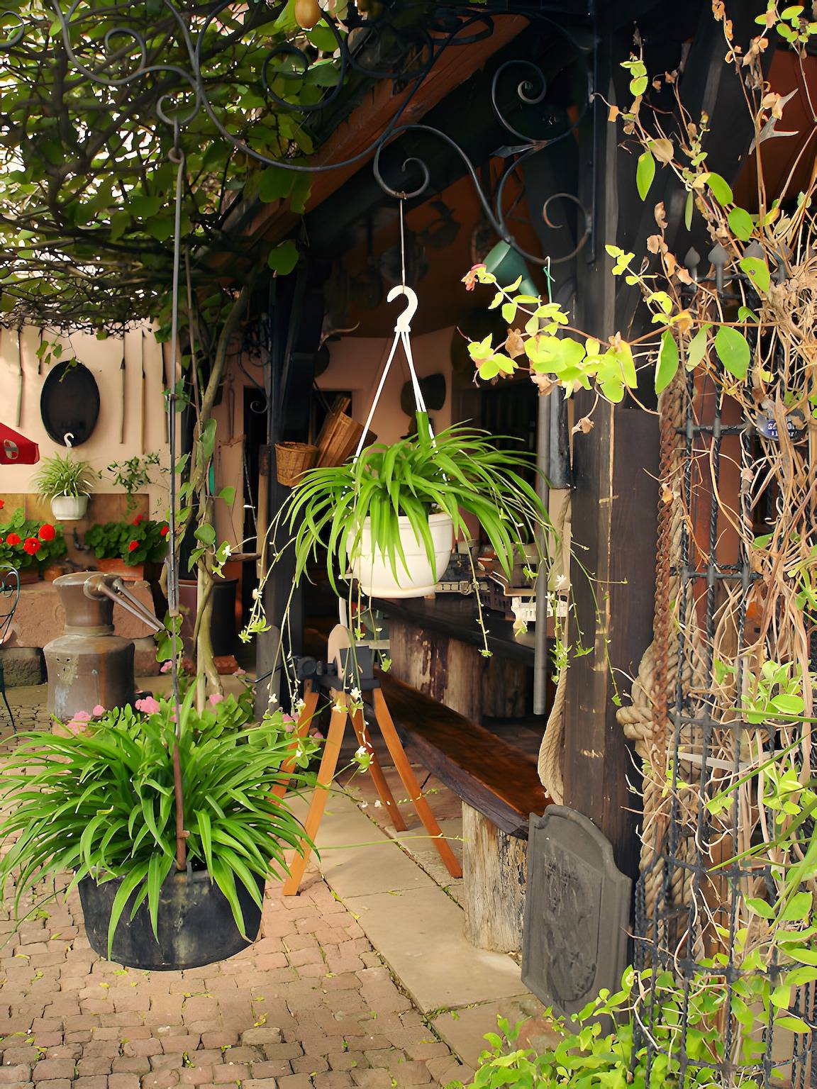 Ganze Wohnung, Ferienwohnung „Gîte Éclat De Soleil“ mit privater Terrasse, Gemeinschaftsgarten & Wlan in Beblenheim, Rappoltsweiler und Umgebung