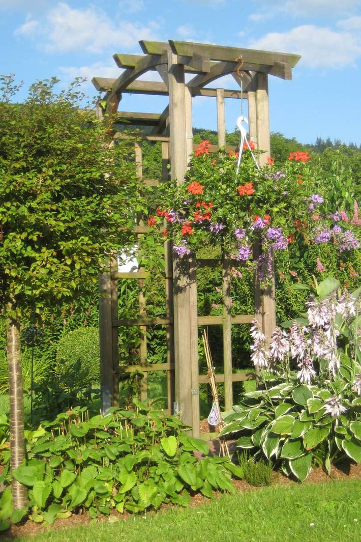 Ferienwohnung für 4 Personen, mit Terrasse und Garten in Olsberg - 4