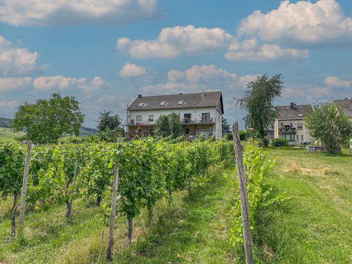 Ferienwohnung für 2 Personen, mit Balkon und Garten in Schweich an der Römischen Weinstraße