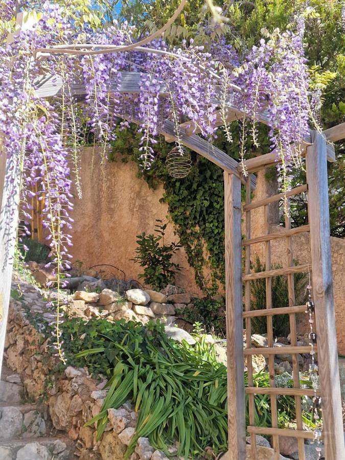 Villa pour 6 personnes, avec jardin et jacuzzi dans Anthéor - 2
