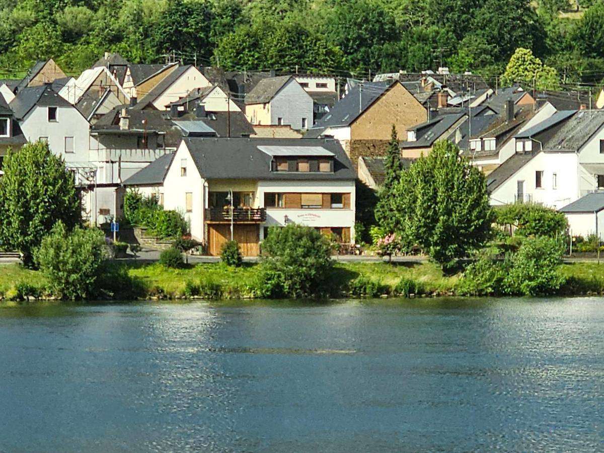 Ganze Wohnung, Moselblickhaus in Wehlen (Rheinland-Pfalz), Bernkastel-Kues