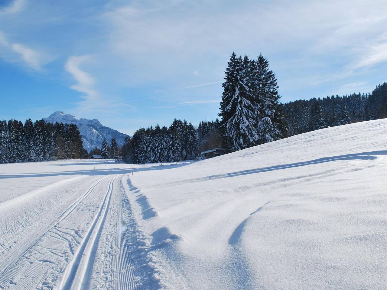 Ganze Ferienwohnung, Ruheoase am Forggensee - Bieber - Appartement/Fewo, Dusche, Wc, 1 Schlafraum in Rieden, Bayerisch Schwaben