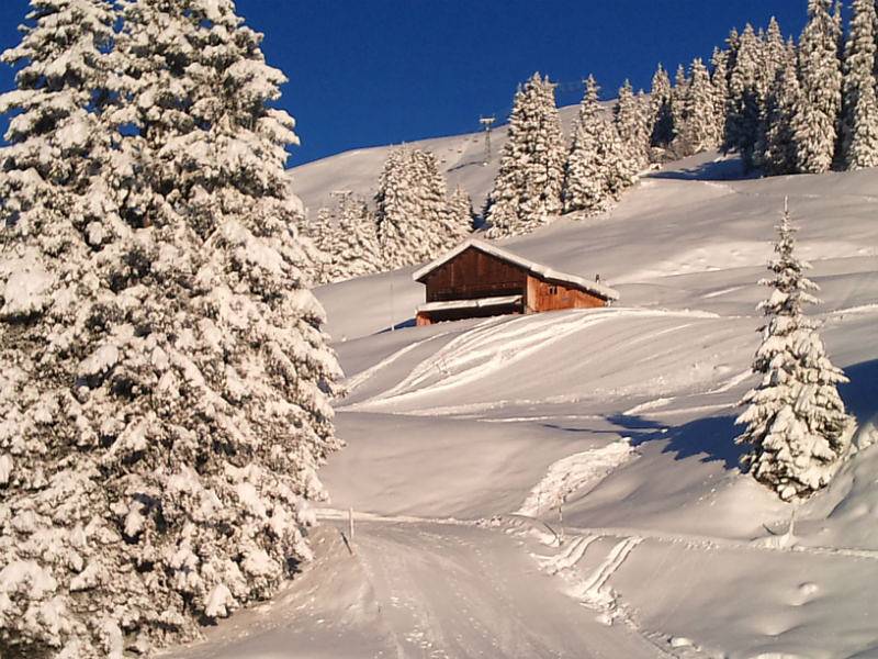 Ganze Ferienwohnung, Maiensäss La Casa Cathomen, Brigels - 4 Zimmer Maiensäss für max. 6 Pers. in Brigels, Alpenarena
