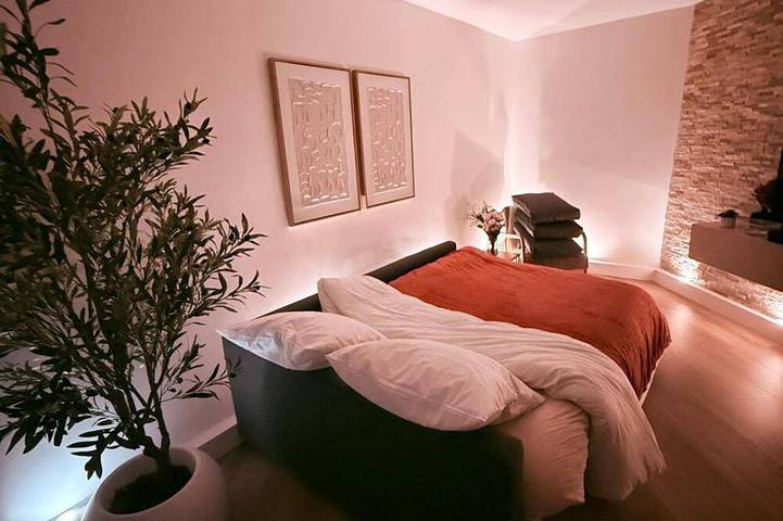 Ganze Wohnung, Between Paris and Disney, comfortable apartment with private parking! in Joinville-le-Pont, Val-de-Marne