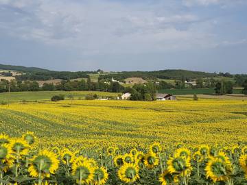 Studio pour 3 personnes, avec jardin ainsi que piscine et balcon dans le Lot-et-Garonne