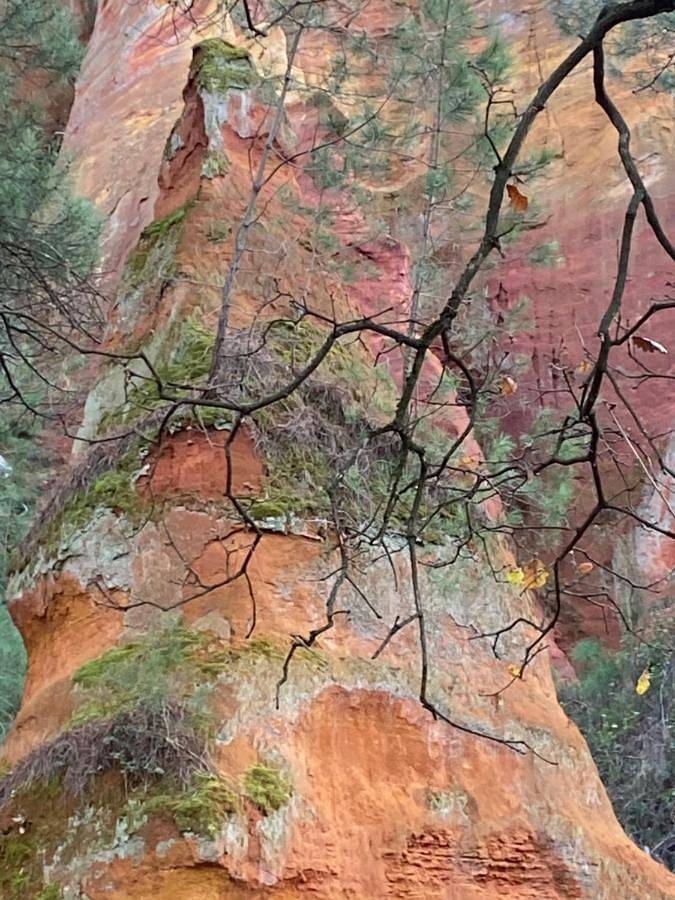 Chambre d’hôte pour 4 personnes, avec jardin ainsi que piscine et vue à Roussillon - 4