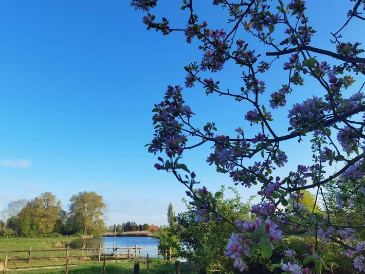 Gîte pour 6 personnes, avec jardin à Berne - 2