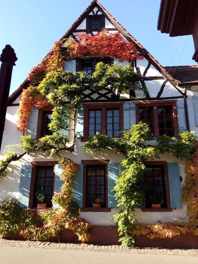Ferienwohnung für 4 Personen, mit Terrasse in Rhodt unter Rietburg