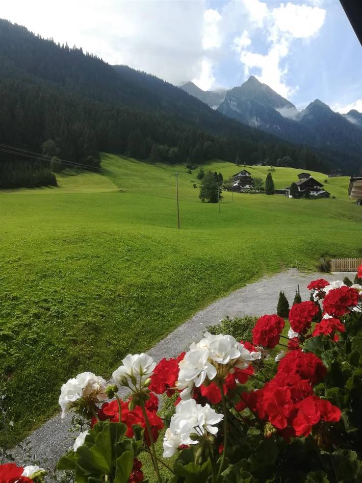 Ferienwohnung für 4 Personen, mit Terrasse und Garten, kinderfreundlich in Finkenberg - 3