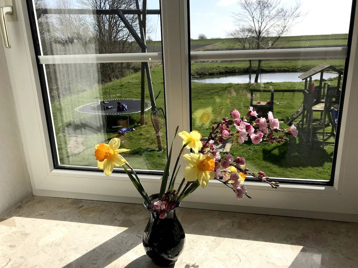 Ganze Ferienwohnung, Friesennest in Poppenbüll, Eiderstedt