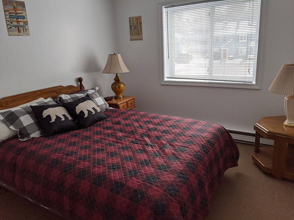 Ganze Wohnung, Fun Year Round-Skifahren, Wandern, Wasserpark, Eisschlösser in Woodstock (NH), Franconia Notch