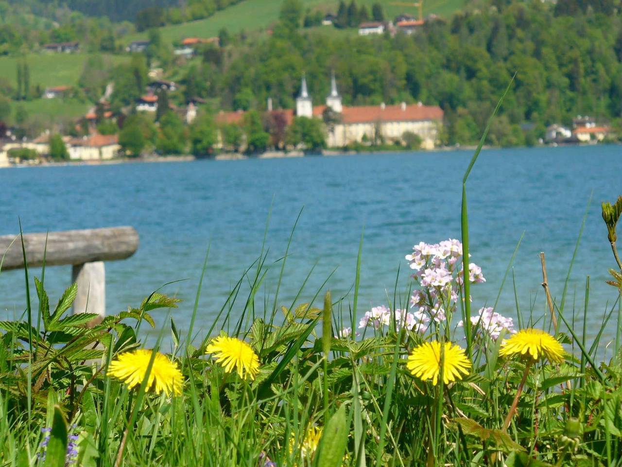 Ganze Ferienwohnung, Schlosserhof am See in Bad Wiessee, Bayerische Alpen