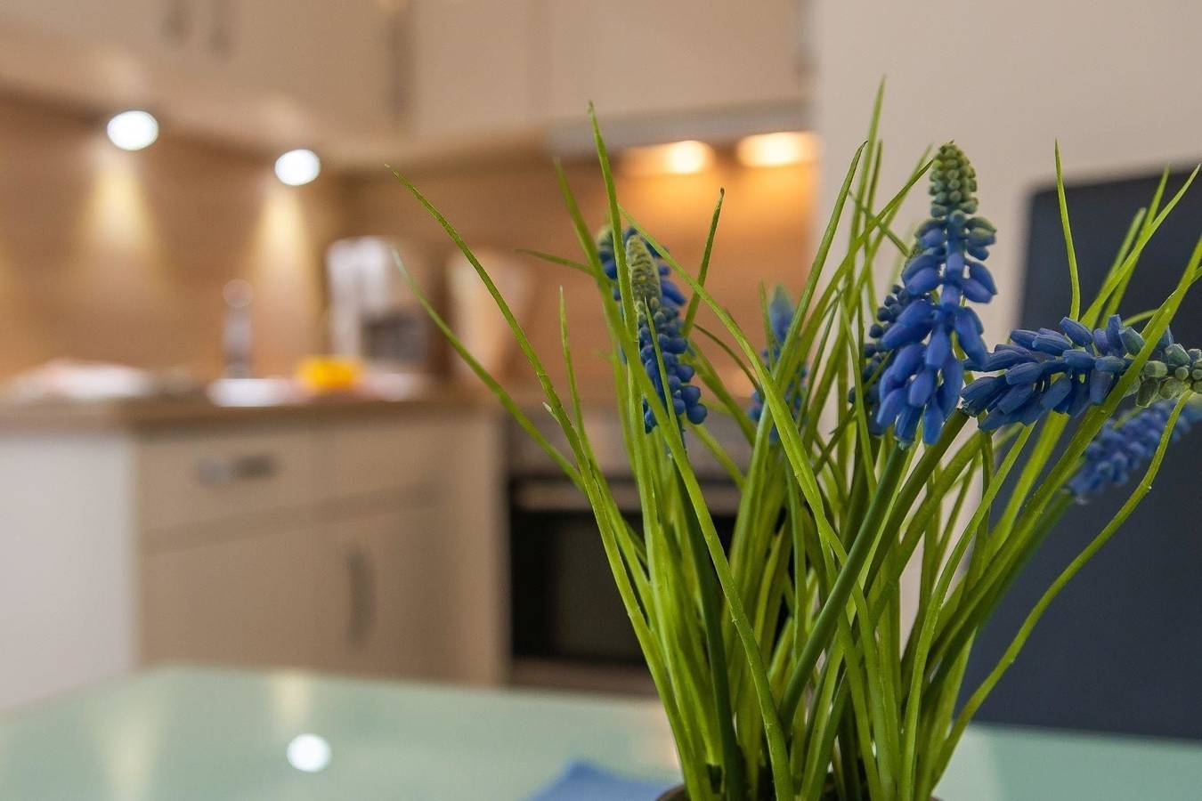 Ferienwohnung in Dahme für 2 Personen in Dahme