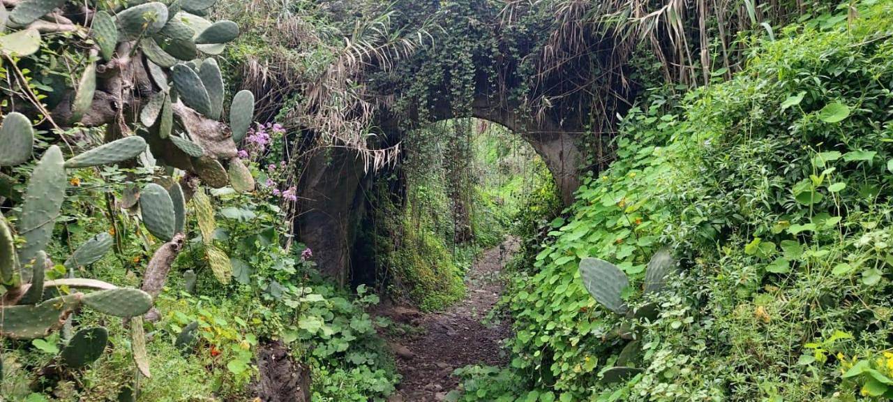 One-Bedroom House in Teror, Gran Canaria Nord