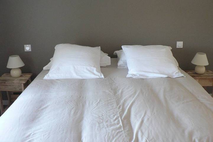 Location de vacances pour 20 personnes, avec jardin et jacuzzi, animaux acceptés à Les Herbiers - 4