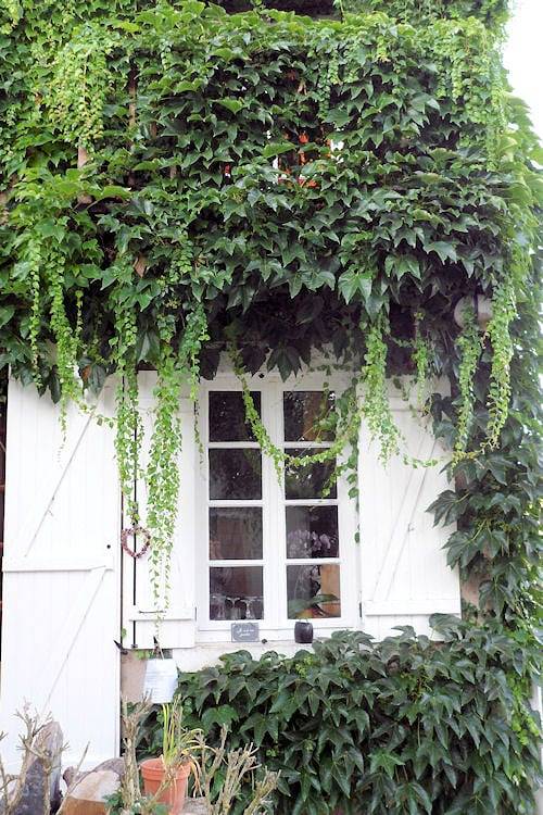 Les Vieilles Vignes - Chambre 1 in Bazoches (homonymie), Parc naturel régional du Morvan