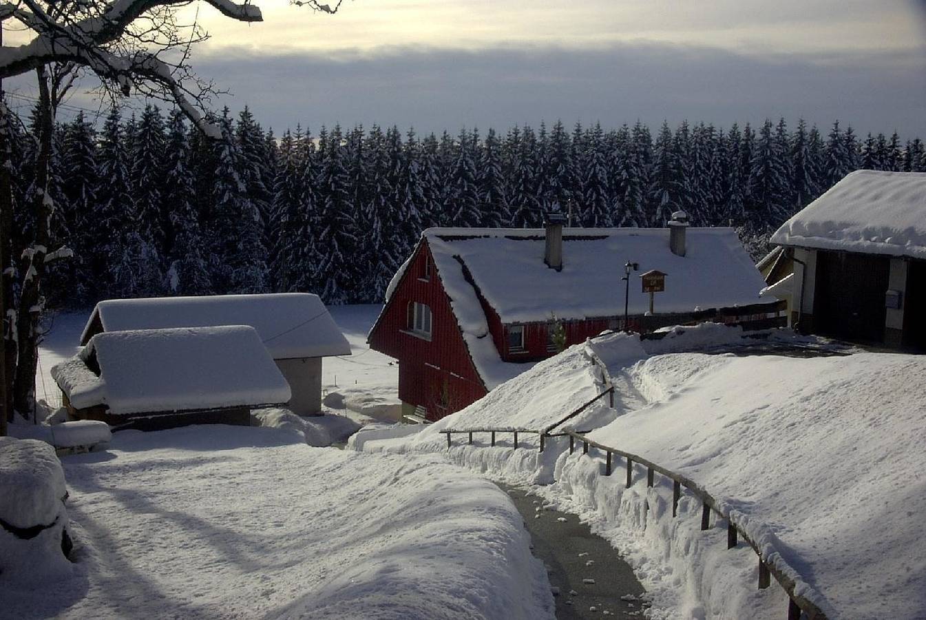 Ferienhaus Elfi in Eisenbach, Südschwarzwald