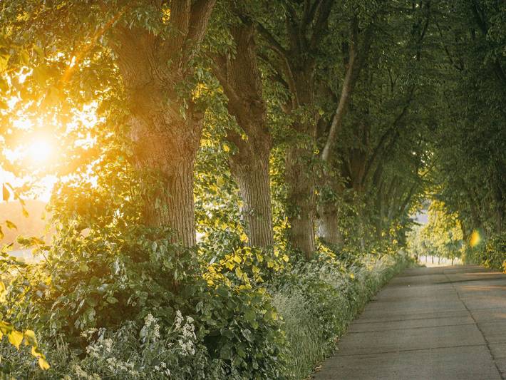 Ferienwohnung für 3 Personen, mit Terrasse in Krummin - 3