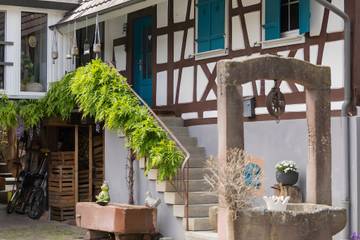 Ferienwohnung für 4 Personen in Herbolzheim, Südschwarzwald, Bild 2